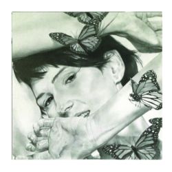 Butterflies 1